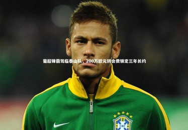 B体育：葡超锋霸驾临泰山队，200万欧元转会费锁定三年长约