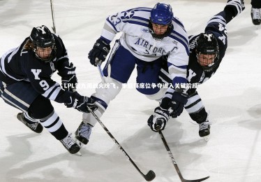 B体育|LPL第九周战火纷飞，季后赛席位争夺进入关键阶段