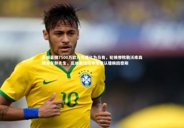 【bsport体育】曼城豪掷7500万欧元引援化为乌有，轮换惨败勒沃库森揭穿东郭先生，瓜迪奥拉坦承受骗认错赖因德斯