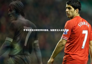 B体育下载|罗韦拉誓言冲刺世界杯晋级，加图索注入全队干劲