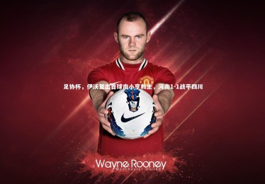 【B体育下载】足协杯，伊沃复出首球南小亨救主，河南1-1战平四川